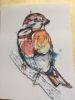 Sparrow Sparrow