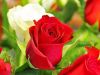 loved