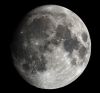 Peri Lune Peri Lune