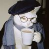 MISTER CATS MISTER CATS